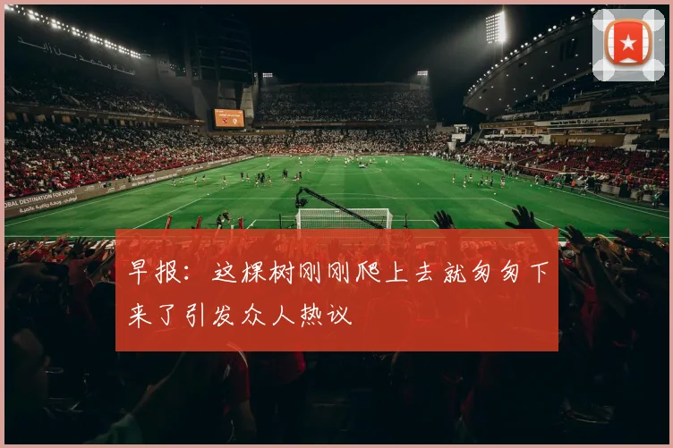 早报：这棵树刚刚爬上去就匆匆下来了引发众人热议