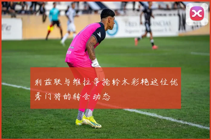 利兹联与维拉争抢铃木彩艳这位优秀门将的转会动态
